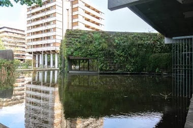 Meriadeck   Bassin et mur de verdure (2).